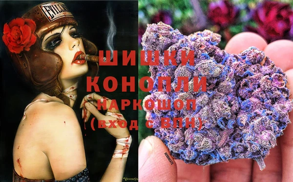 ПСИЛОЦИБИНОВЫЕ ГРИБЫ Алзамай