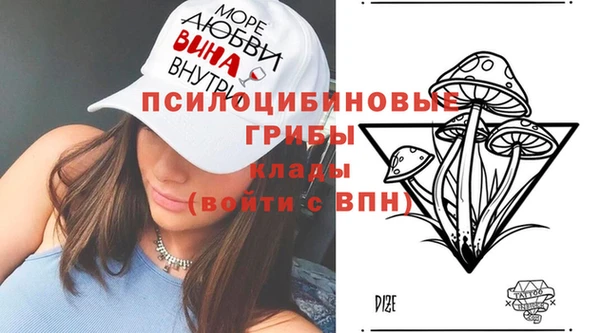 ПСИЛОЦИБИНОВЫЕ ГРИБЫ Алзамай