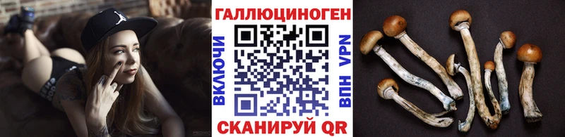 Галлюциногенные грибы прущие грибы  Асино 