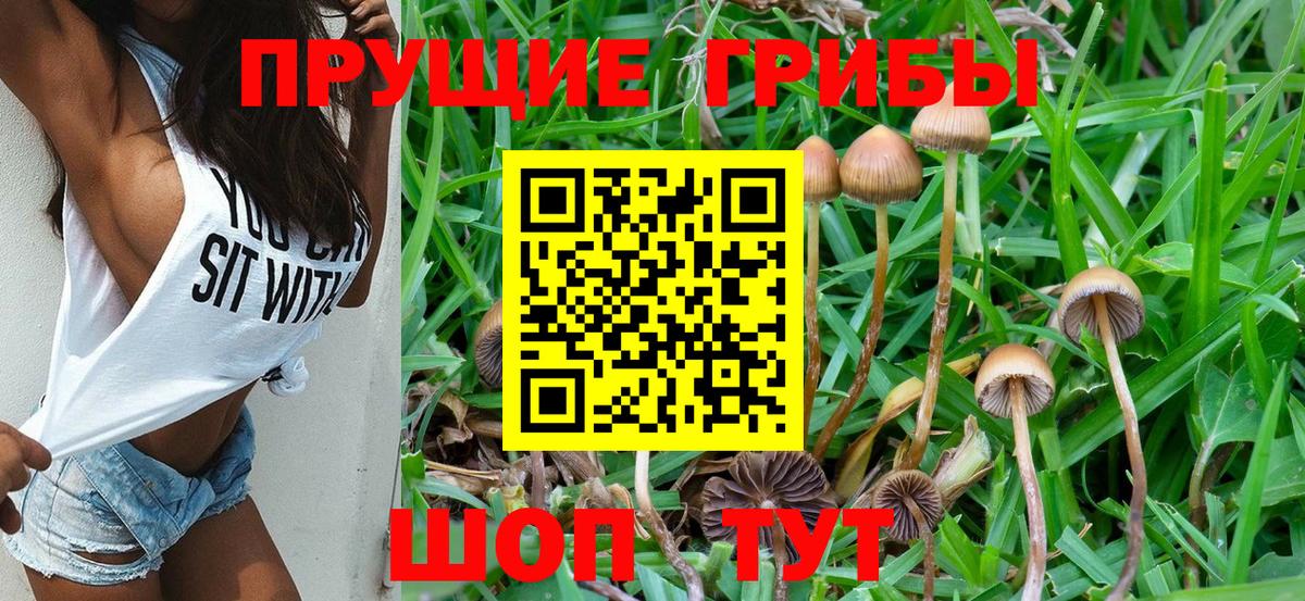 Галлюциногенные грибы Magic Shrooms Асино