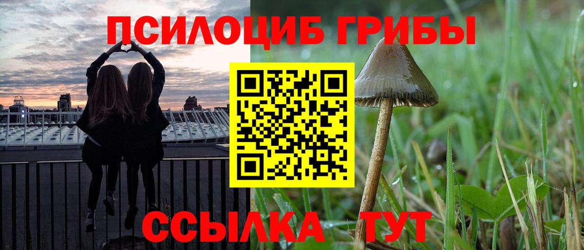 наркошоп  Псилоцибиновые грибы GOLDEN TEACHER  Вход с VPN  Асино 